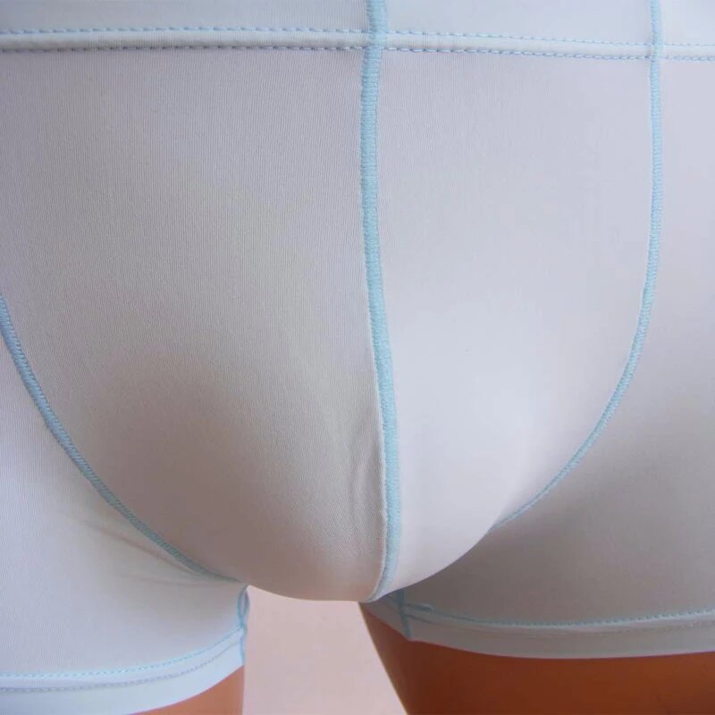 Boxer Men Brand Transparent Mens Sexy Underwear Ice Silk Panties Penis Pouch Boxershorts Gay Underpants Boxer Shorts Cuecas