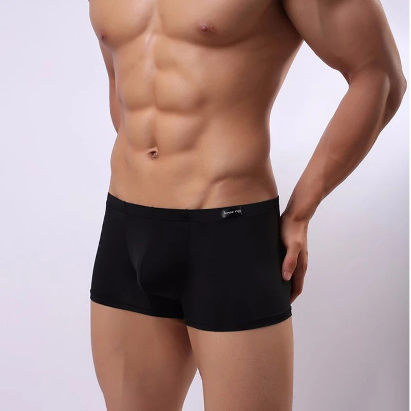 42776021303475|42776021336243|42776021369011|42776021401779