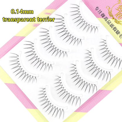 Dream Deer 5 Pairs False Eyelashes A Type Eyelashes Upgraded Lash V-shaped 0.14mm Transparent Stem Soft Natural Eye Lashes Mink